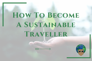 Read more about the article How To Become A Sustainable Traveller